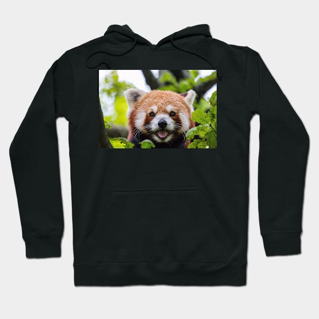 Red Panda Hoodie by kawaii_shop